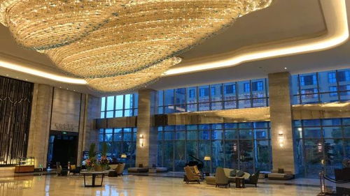 528 套 三面环湖 苏州重磅新开温德姆旗舰酒店 全智能客房惊艳,落地窗外正对50万㎡天然氧吧